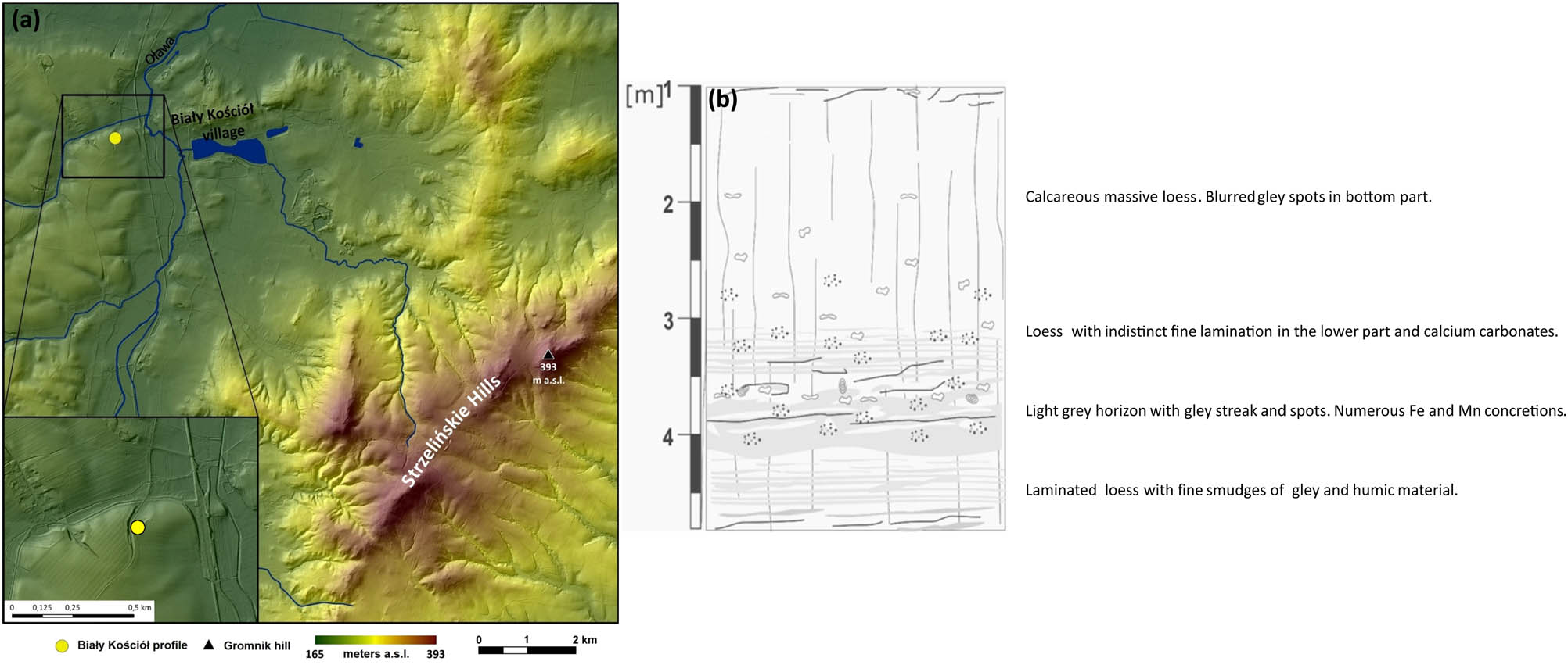 Figure 2 Location (a) and litological description (b) of Biały Kościół L1LL1 unit (lithological description modified according to ref. [23]).