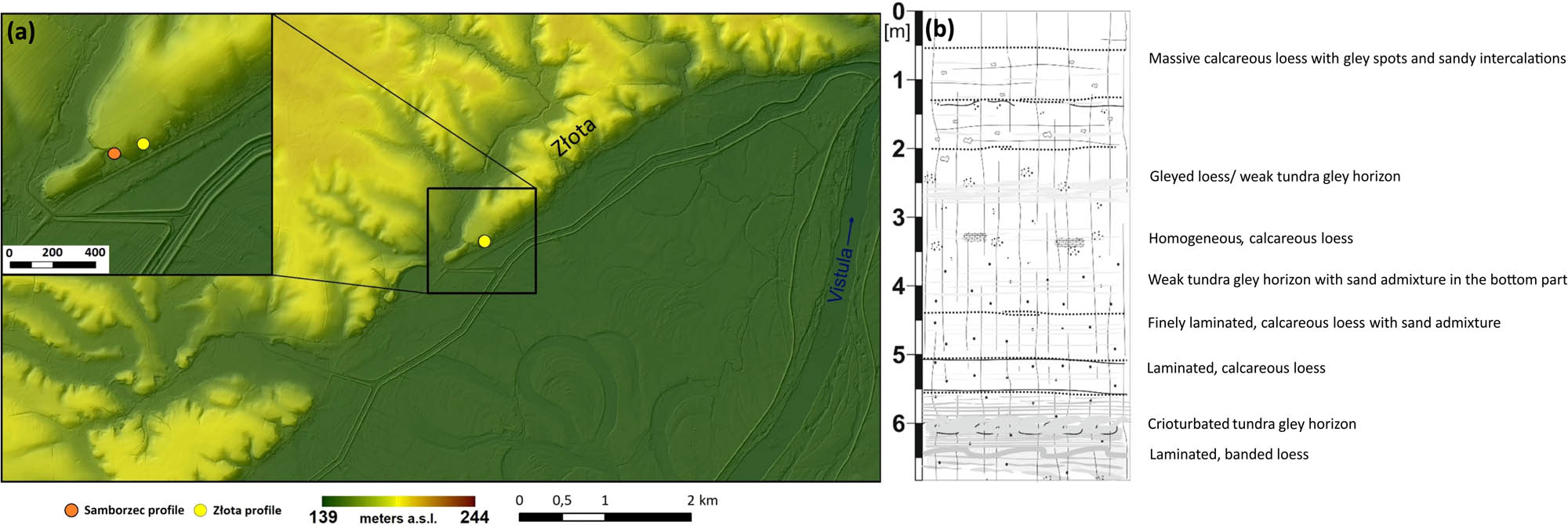 Figure 3 Location (a) and litological description (b) of Złota L1LL1 unit (lithological description modified according to ref. [29]).