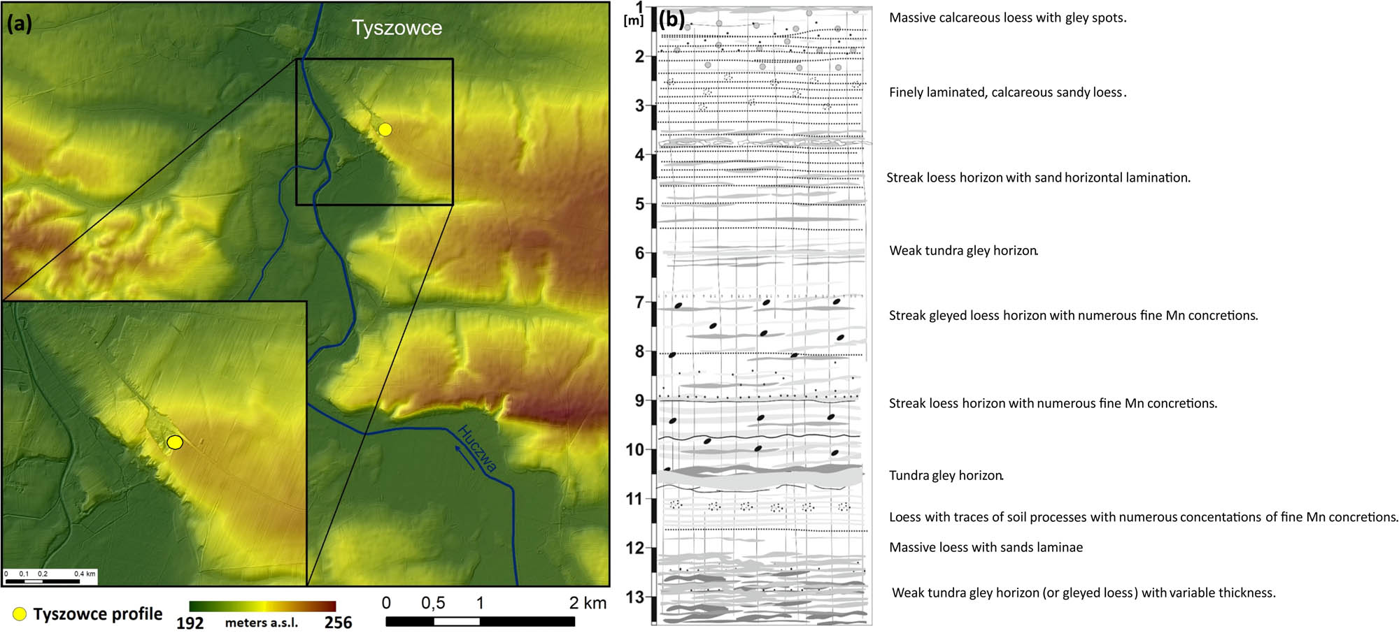 Figure 4 Location (a) and litological description (b) of Tyszowce L1LL1 unit (lithological description modified according to ref. [19]).