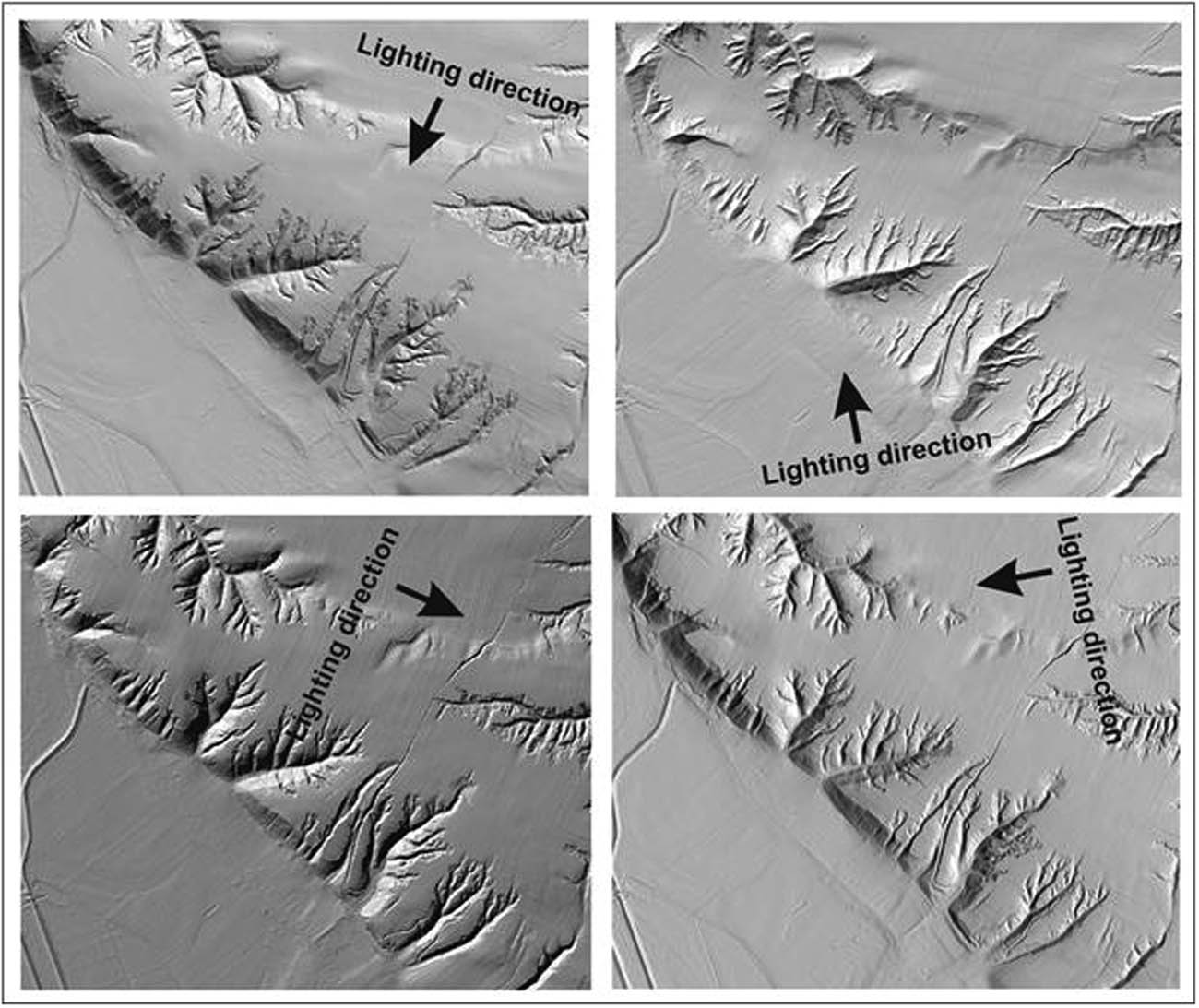 Figure 5 Lighting from the different sides of the LiDAR DTM.