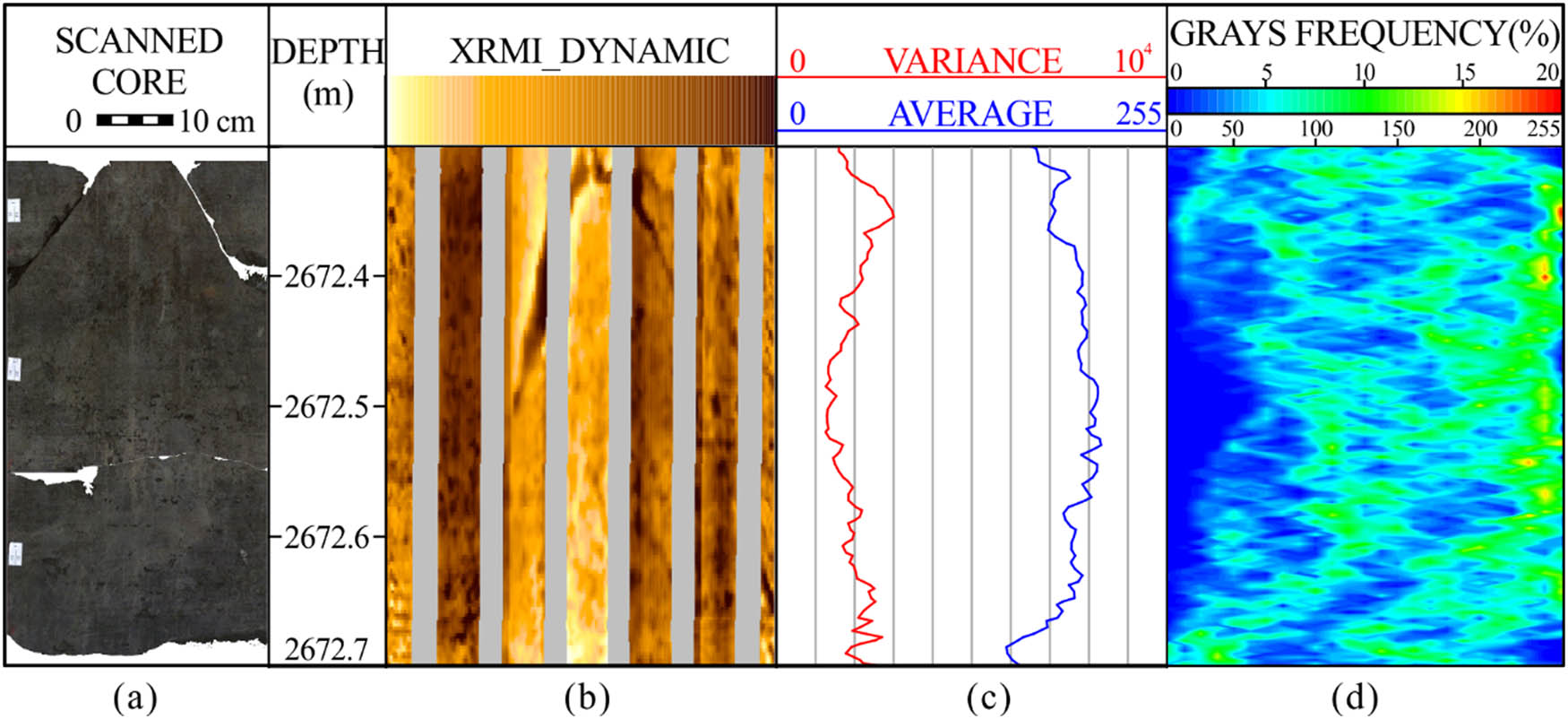 Figure 10 Scanned photographs, dynamic electrical images, averages and variances of gray values and gray frequency profile of siltstones, Well FN10. (a) Scanned photographs. Grains are well sorted. (b) Dynamic electrical images. They are homogeneous brown colored. (c) Gray averages and variances of electrical images. Variances are low and gray averages are mostly between 160 and 200. (d) Two-dimensional gray frequency profile of siltstones. The grays of peaks are nearly 220.