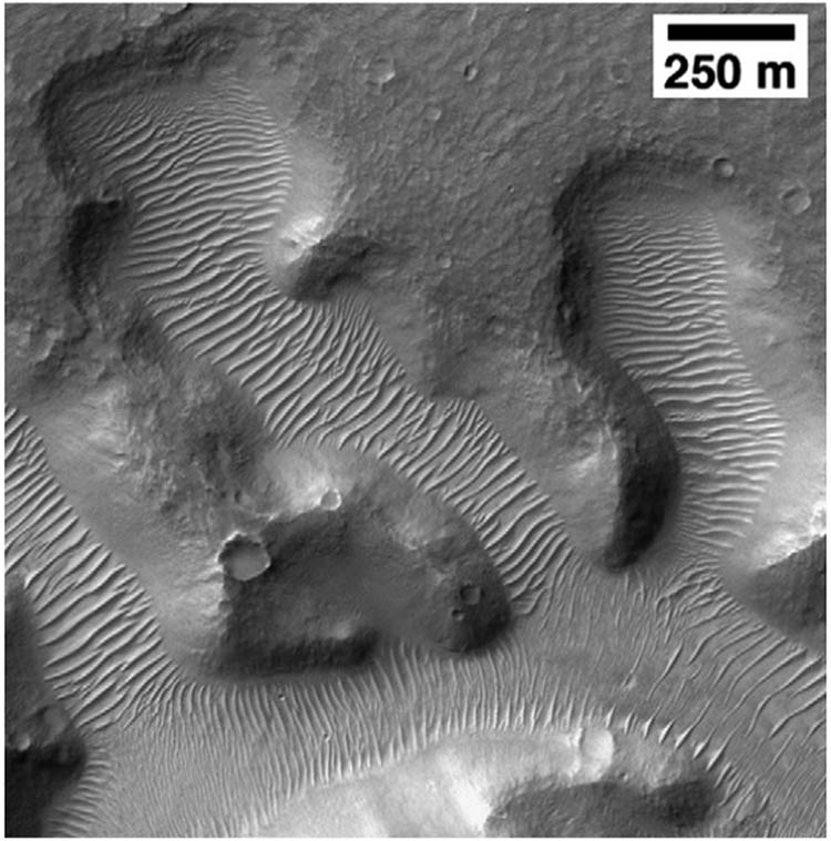 Figure 1 
               Transverse Aeolian Ridges (TARs) on the floor of Nirgal Vallis, Mars, with wavelengths of TARs from 30 to 100 m. Portion of MOC image E02-02651, 27.8°S, 316.7°E, 2.8 m/pixel, NASA/JPL/MSSS [24].
            