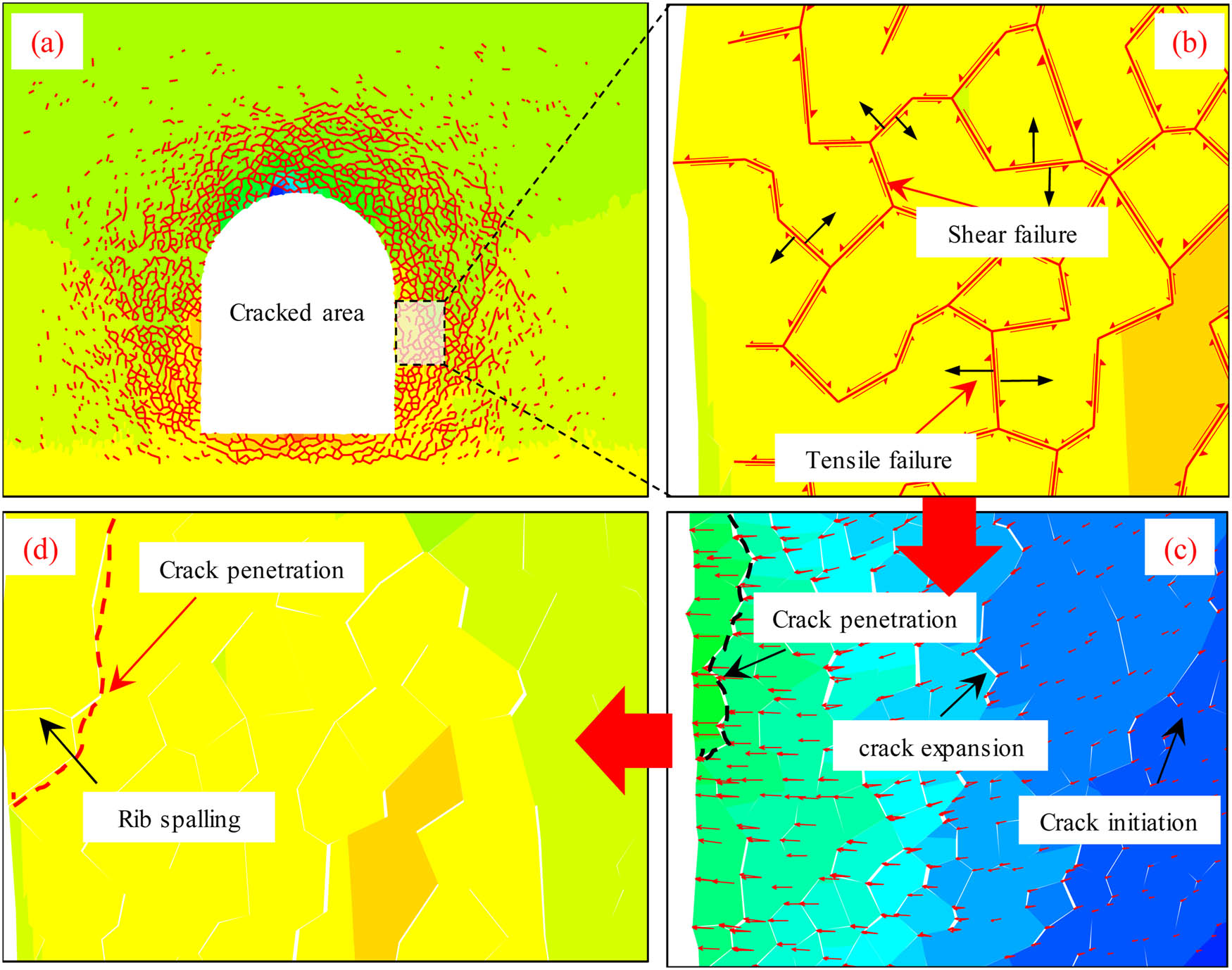 Figure 11 Rib spalling mechanism in the two ribs. (a) Cracks in the ribs; (b) Failure model; (c) Development characteristics of the cracks; (d) Rib spalling.