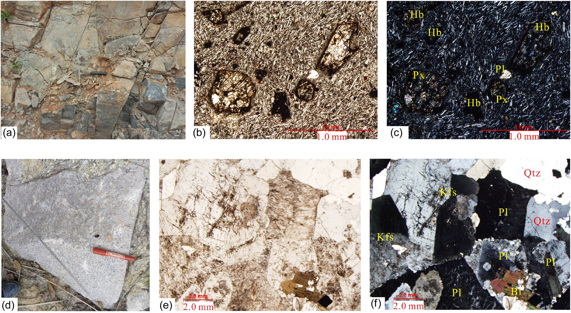 Figure 2 (a) Hand specimen of andesites from Yulin; (b and c) photomicrographs of andesites, containing phenocryst of hornblende, pyroxene, and plagioclase, with matrix displaying andestic texture. (d) Hand specimen of monzogranites from Luchuan; (e and f) photomicrographs of monzogranites, containing semi-euhedral plagioclase, alkali feldspar and granular quartz with minor biotite. Abbreviations: Pl, plagioclase; Hb, hornblende; Px, clinopyroxene; Qtz, quartz; Kfs, potassium feldspar; Bi, biotite.