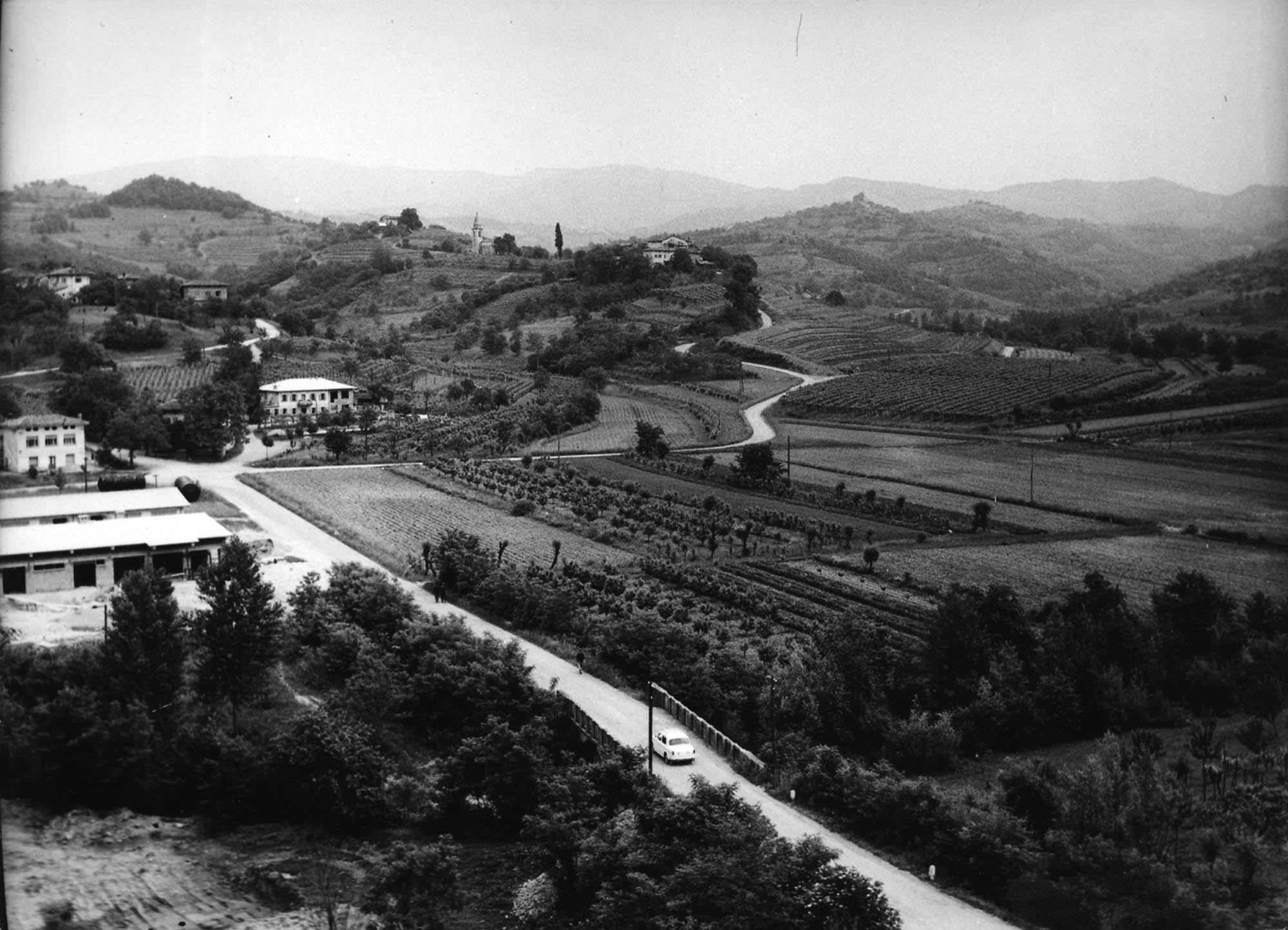 Figure 3 Fields featuring detached plots with vines, crops or fruit trees in 1956 (photo collection Goriški muzej).