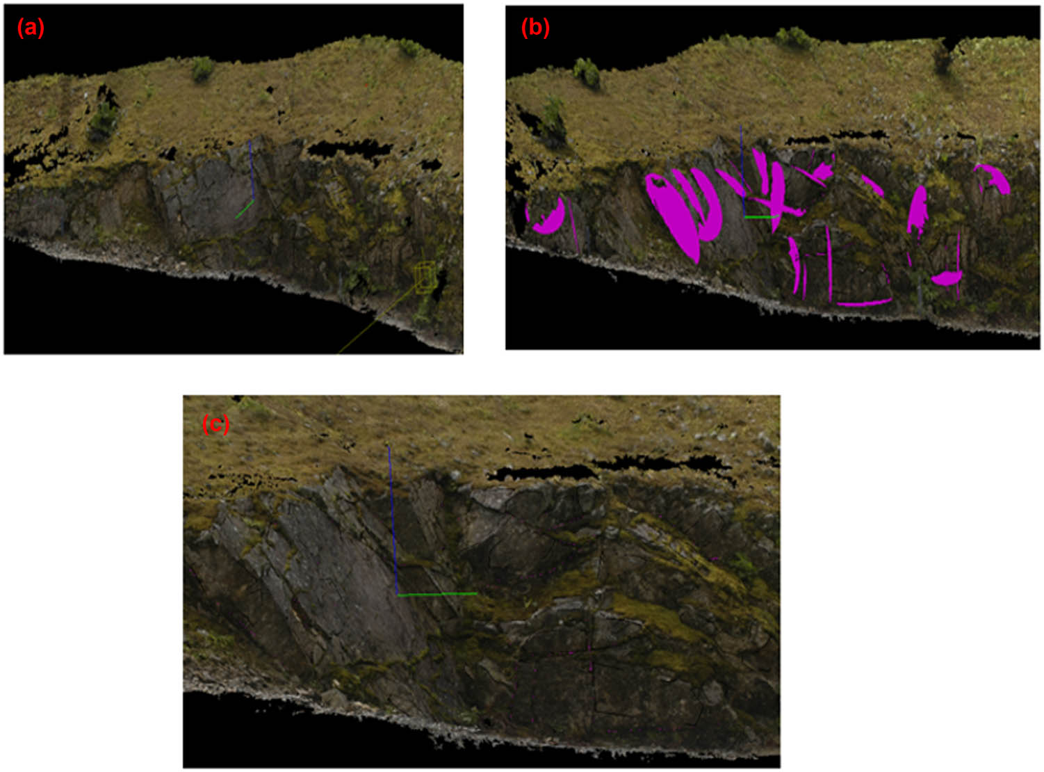 Figure 6
Point cloud 3D image (a) created by photoscan; and delineated in SplitFx showing traces in purple (b); and patches in black (c).