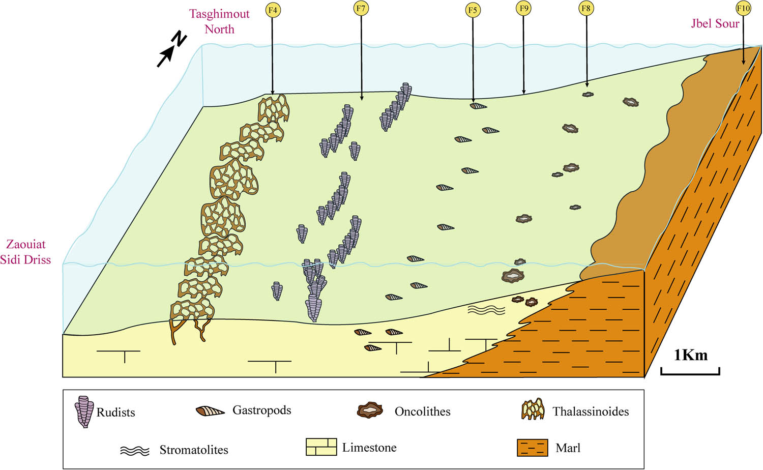 Figure 15 The palaeogeographic history of the Tadhart formation.