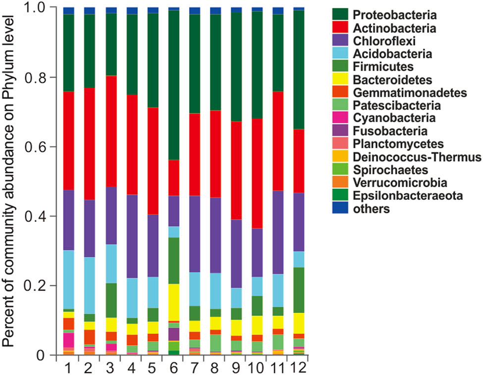 Figure 2
Community analysis bar plot on phylum level% for each sample.