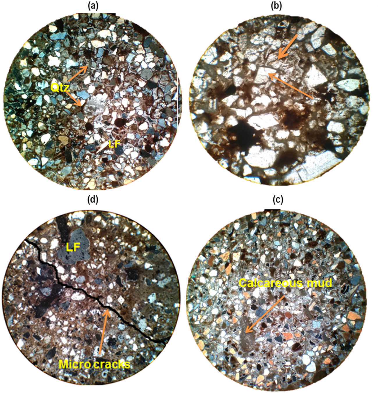 Figure 5 
                  Photomicrographs of sandstone samples analysed from Nari Formation showing: (a) moderately sorted, subangular to subrounded grains of quartz. (b) Monocrystalline and polycrystalline characteristics governing within these samples as quartz crystal. (c) Lithic framework grains along with observed fracture. (d) Some observed alkali feldspar grains.
               