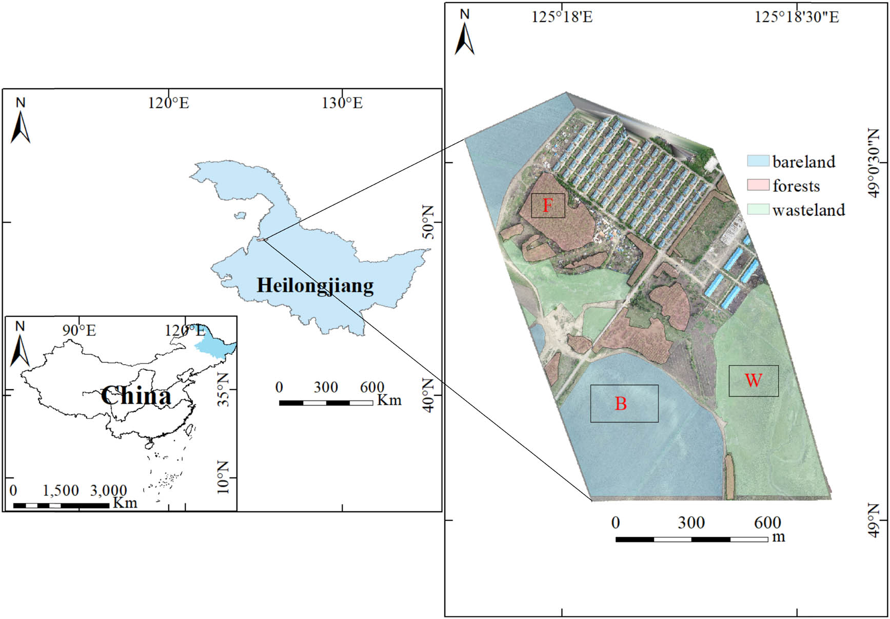 Figure 1
Map of the study area, including locations of the three subplots: forest (F), wasteland (W), and bare land (B) mapped using an RGB raster generated from the structure from motion (SfM) point cloud.