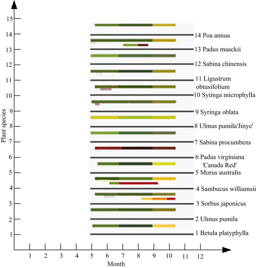 Figure 2
Ornamental plant landscape unit case 2.