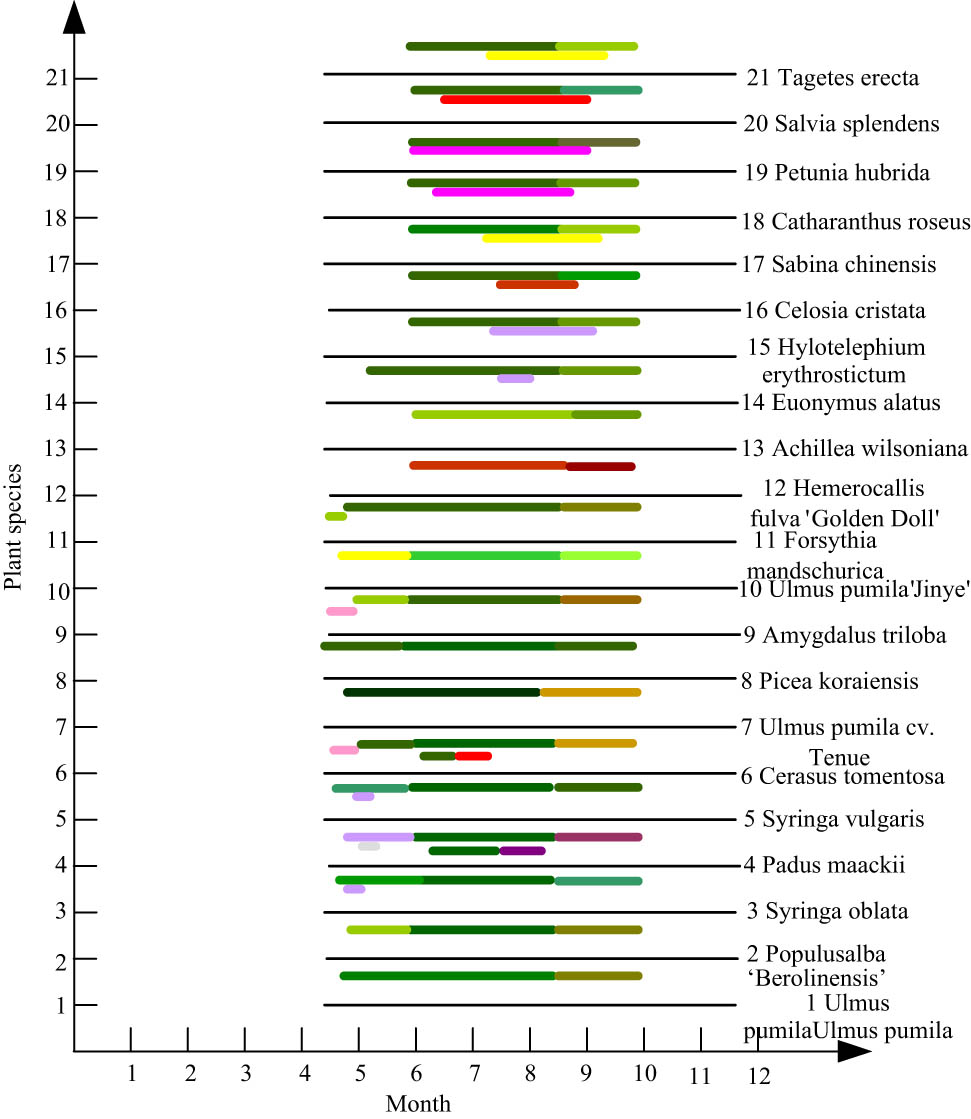 Figure 3
Ornamental plant landscape unit case 3.