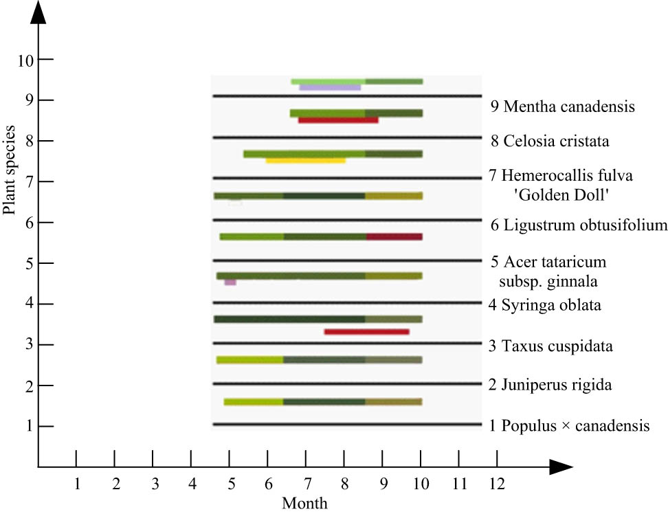 Figure 4
Ornamental plant landscape unit case 4.