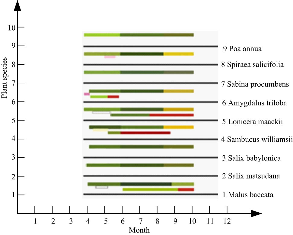 Figure 5
Ornamental plant landscape unit case 5.