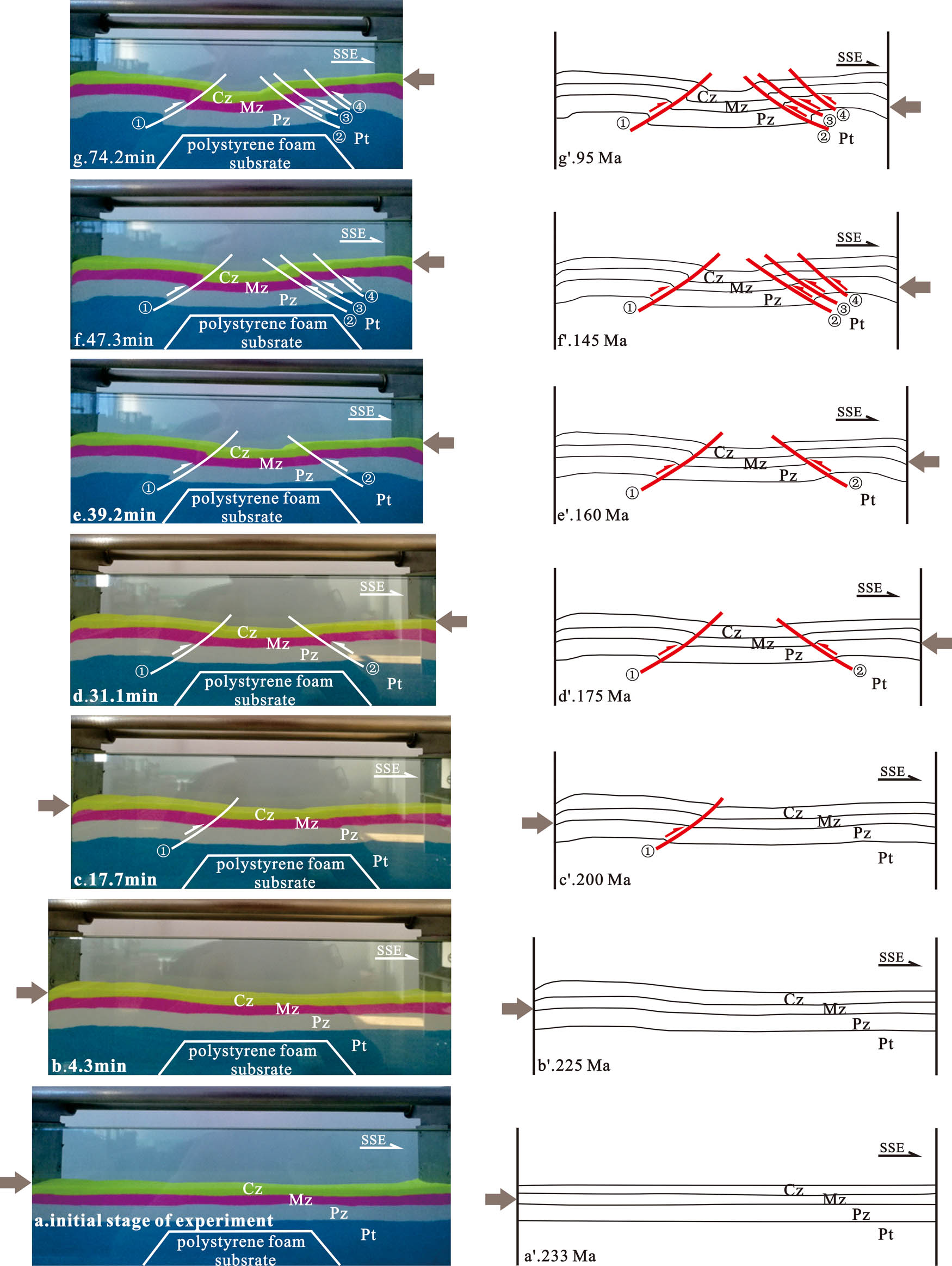 Figure 8
Physical simulation experiment processes and interpretations of the hedging structure in the Lower Yangtze area. (a) Initial stage of the experiment. (b–f) Experiments at 4.3 min, 17.7 min, 31.1 min, 39.2 min, 47.3 min, respectively. (g) The final stage of the experiment at 74.2 min. Pt = Proterozoic formation; Pz = Paleozoic formation; Mz = Mesozoic formation; Cz = Cenozoic formation.