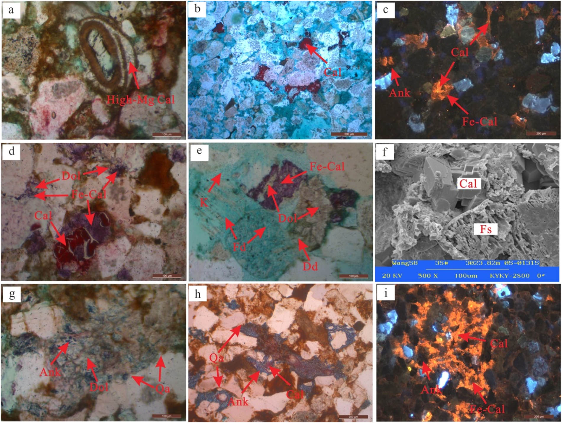 Figure 3 
                  Diagenesis micrograph of carbonate cements in Dongying Sag. (a) N105, 3251.66 m, micritic high-Mg calcite in early stage; (b) X154, 2934.50 m, calcite in early stage filled primary pores; (c) X154, 2934.50 m, calcite in early stage, the cathodoluminescence was bright orange-yellow; (d) G110, 2671.93 m, ferro-calcite in late stage filled the dissolution pores of calcite and dolomite in middle stage; (e) W541, 3132.98 m, dolomite in middle stage filled dissolution pores of debris, and the later dissolution was filled by ferro-calcite in late stage; (f) W58, 3023.82 m, calcite in middle stage filled feldspar dissolution pores; (g) N21, 3431.50 m, dolomite in middle stage filled the dissolution pores of feldspar particles and metasomatized part of quartz secondary enlarged edge, later was metasomatized by ankerite in late stage; (h) N24, 3174.85 m, ankerite in late stage filled the dissolution pores of calcite in middle stage and metasomatizes quartz secondary enlarged edge; and (i) W631, 3243.80 m, the cathodoluminescence of ferro-calcite is dark orange red, while ankerite does not emit light.
               