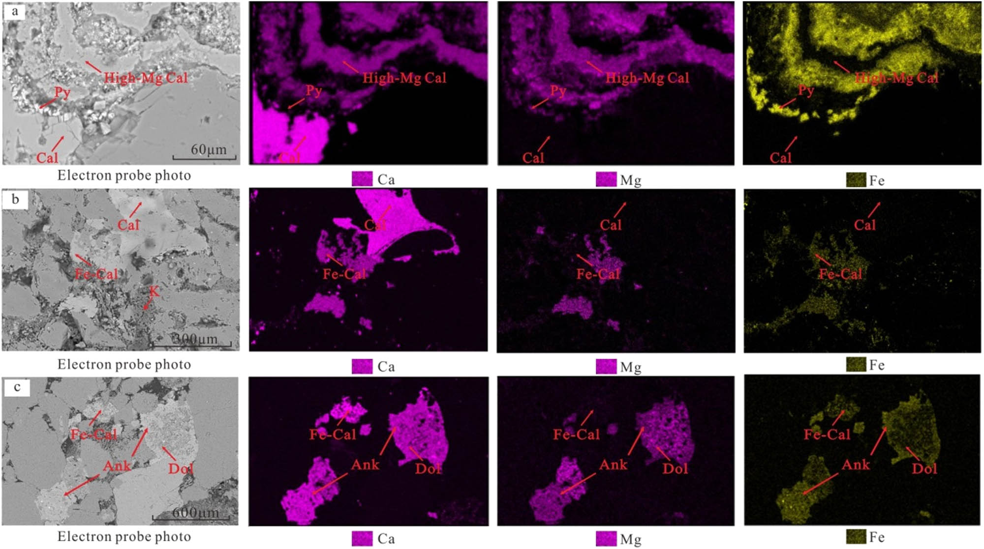 Figure 11 
                     Electron microprobe element surface characteristics of different stages of carbonate cements. (a) W7, 2595.5 m, the micritic high-Mg calcite and calcite in early stage; (b) W550, 3419.48 m, calcite in the middle stage and ferrocalcite in the late stage filled the dissolved pores; and (c) W58, 3026.10 m, dolomite in middle stage and ankerite in the late stage filled the dissolved pores.
                  