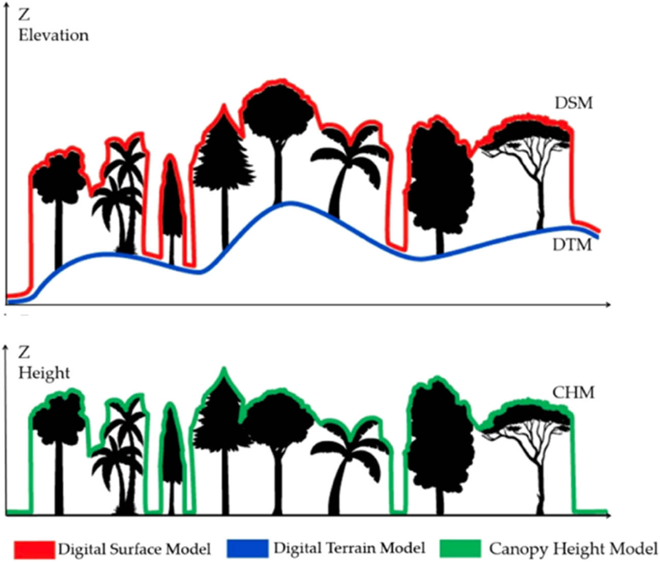 Figure 4
DSM, DTM, and CHM generation.