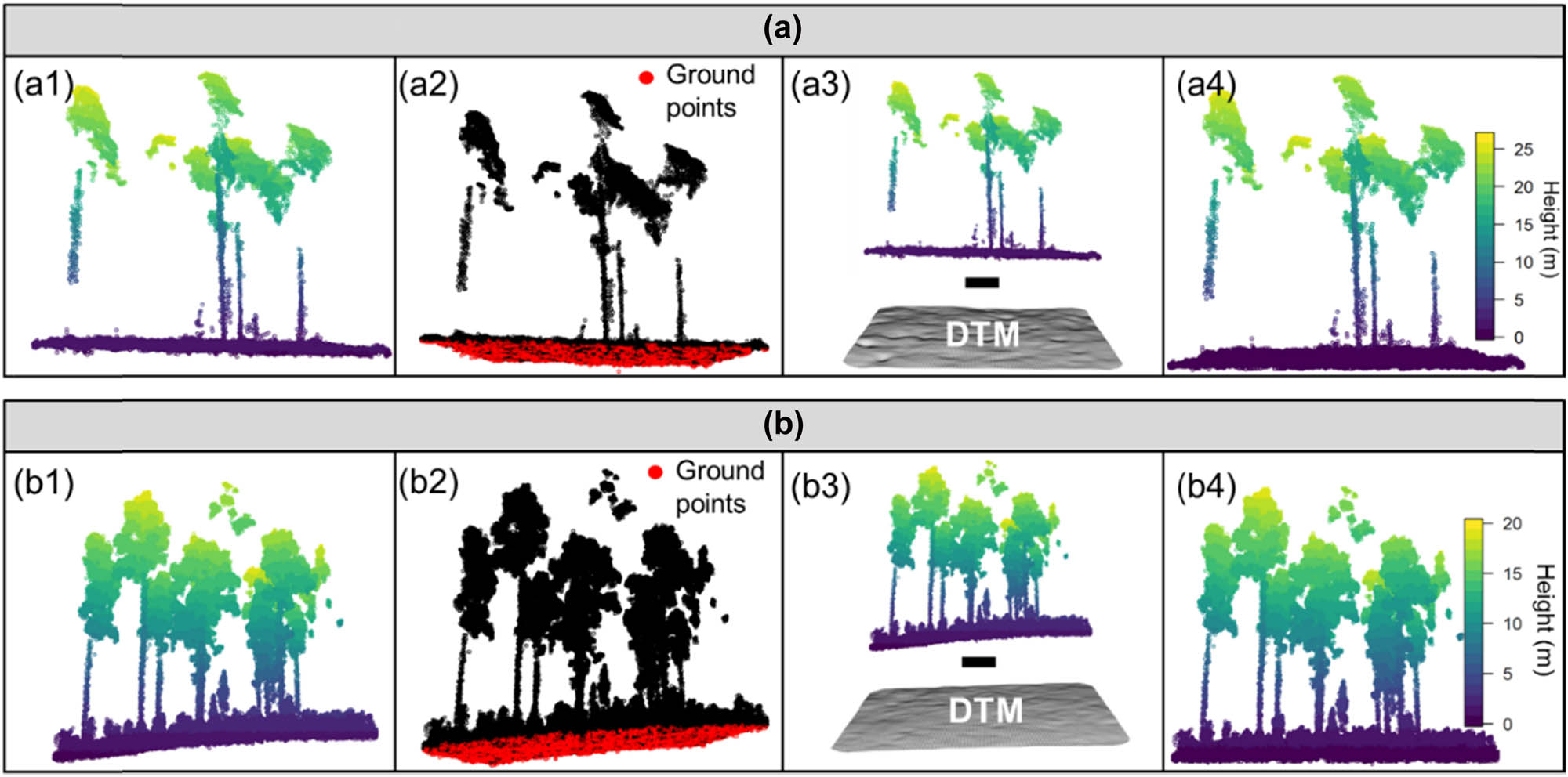 Figure 5
Processing steps for point cloud height normalization using the SfM and lidar-derived point clouds from the study sites in Texas and Florida (a and b). Starting from the raw point cloud with elevation values (a1 and b1), the ground points are classified (a2 and b2). By subtracting the DTM from the point cloud elevation values (a3 and b3), a normalized point cloud with true height values is obtained (a4 and b4).