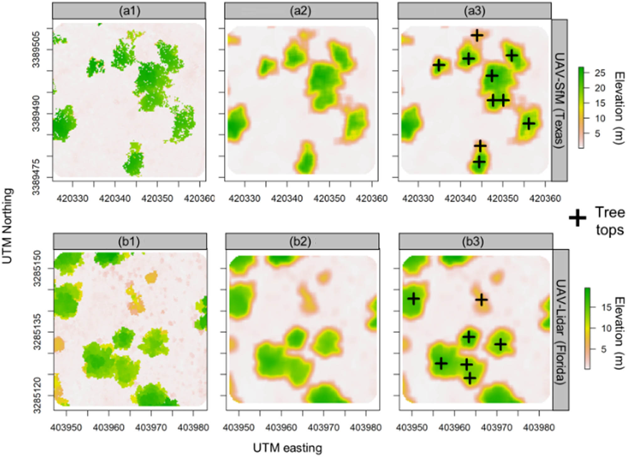 Figure 6
Data processing and CHM creation (a1 and b1); smoothened CHMs (a2 and b2); application of LM filter to detect the treetops (a3 and b3). The CHMs were generated from the SfM (a1–3) and li-dar-derived point clouds (b1–3) obtained in UAV surveys in Texas and Florida sites, respectively.