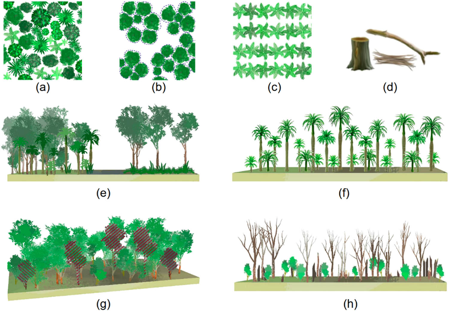 Figure 7
(a) Species classification; (b) tree crown delineation; (c) fruit/yield estimation; (d) biomass estimation; (e) habitat structural assessment; (f) forest uniformity; (g) forest health/pest monitoring; and (h) disturbed forest and recovery tracking.
