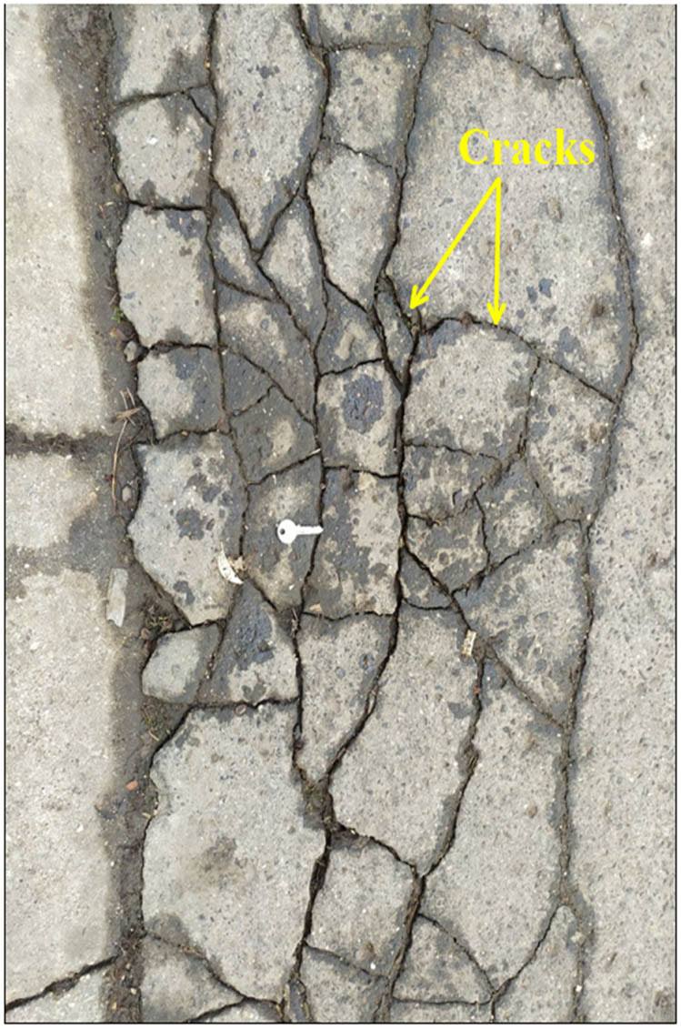 Figure 9
Tensional cracks in the asphalt coverage of the study area.