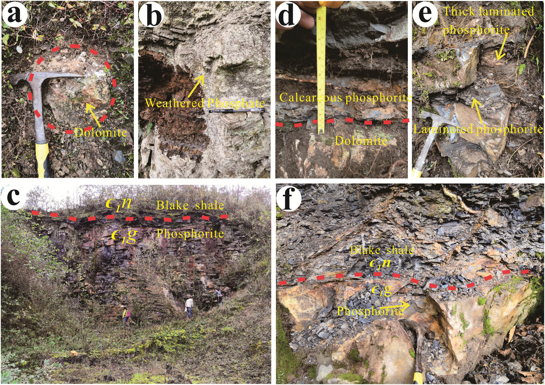 Figure 3
Field geological profile of the Zhijin deposit, Guizhou Province, China. (a) Basal dolomite (Gezhongwu profile). (b) Weathered phosphorite (Majiaqiao profile). (c) Banded dolomitic phosphorite and the overlying Niutitang Fm. black shale (Gezhongwu profile). (d) Basal dolomite in clear contact with calcareous phosphorite (Guohua profile). (e) Thin-medium-bedded cherty phosphorite with banded structure (Guohua profile). (f) Phosphorite in clear contact with the overlying Niutitang Fm. black shale (Guohua profile).