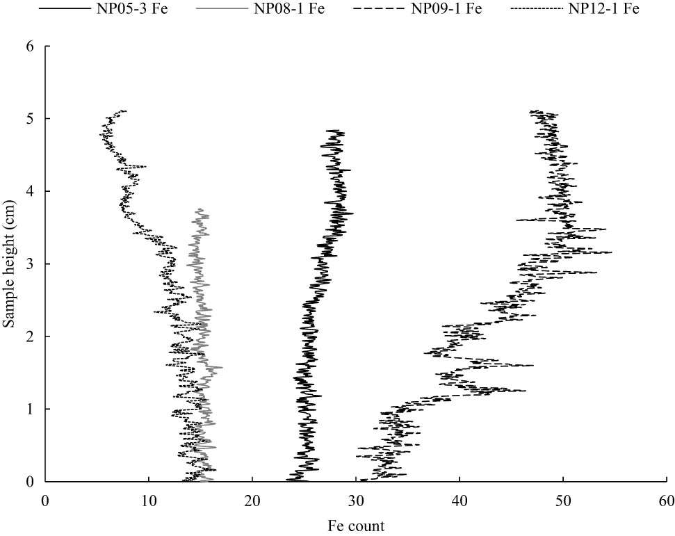 Figure 8 
                  Vertical Fe count of samples NP05-3, NP08-1, NP09-1, and NP12-1 are plotted in solid black, solid gray, dashed, and dotted lines, respectively.
               