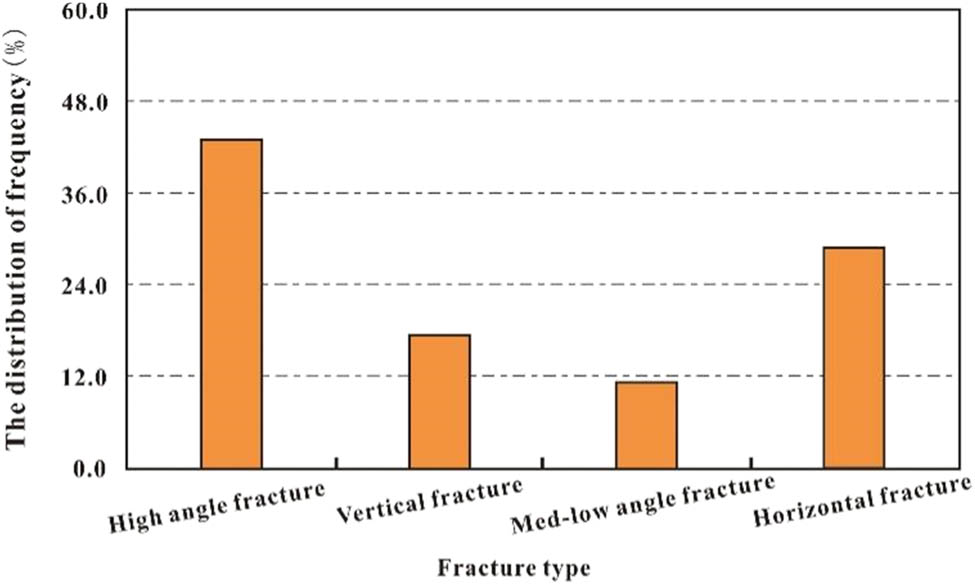 Figure 4
Statistical results of distribution of core fracture types.