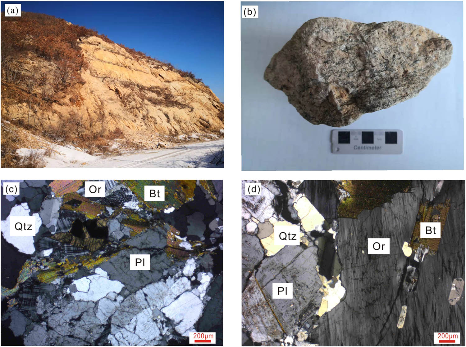 Figure 3
Representative photographs and microphotographs of the Early Cretaceous monzogranite in the northern Great Xing’an Range. (a) Hand specimen from KSH pluton; (b) monzogranite sample (KSH-1), cross polarized light; (c) Hand specimen from YLSD pluton; (d) monzogranite sample (YLSD-1), cross polarized light. Or, Orthoclase; Pl, Plagioclase; Qtz, Quartz; and Bt, Biotite.