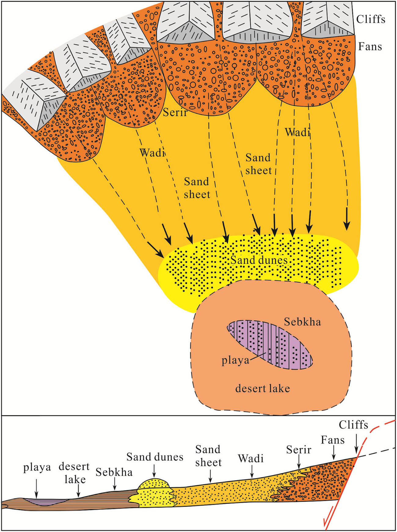 Figure 7 
                     Schematic diagram of desert sedimentary model in Northwest Ordos.
                  