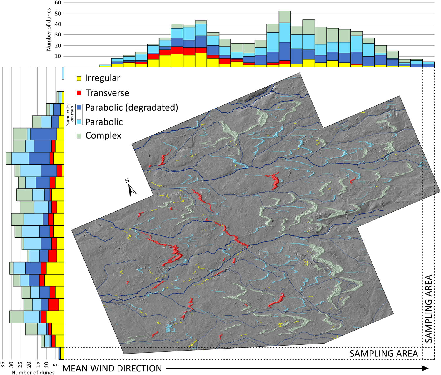 Figure 7 
                  Distribution of dunes (parallel and perpendicular to the mean wind direction) over the study area. Degraded parabolic dunes were separated for the purposes of this figure. Their share in the total number of dunes is fluctuating in the same way as other dune types, indicating a common transformation of parabolic dunes in later phases of the dune field development.
               