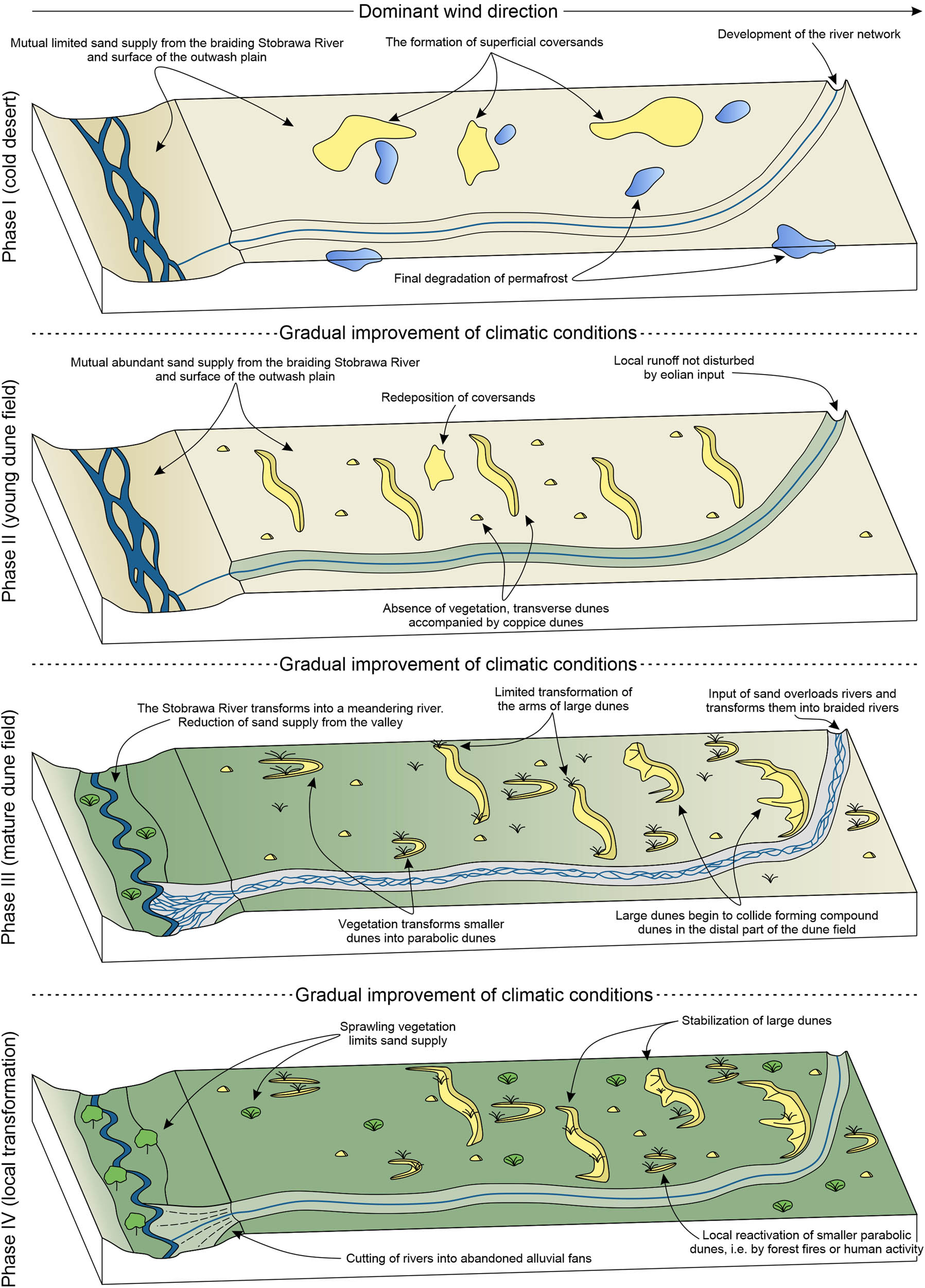 Figure 11 
                  Conceptual model of multi-phase development of the BSDF.
               