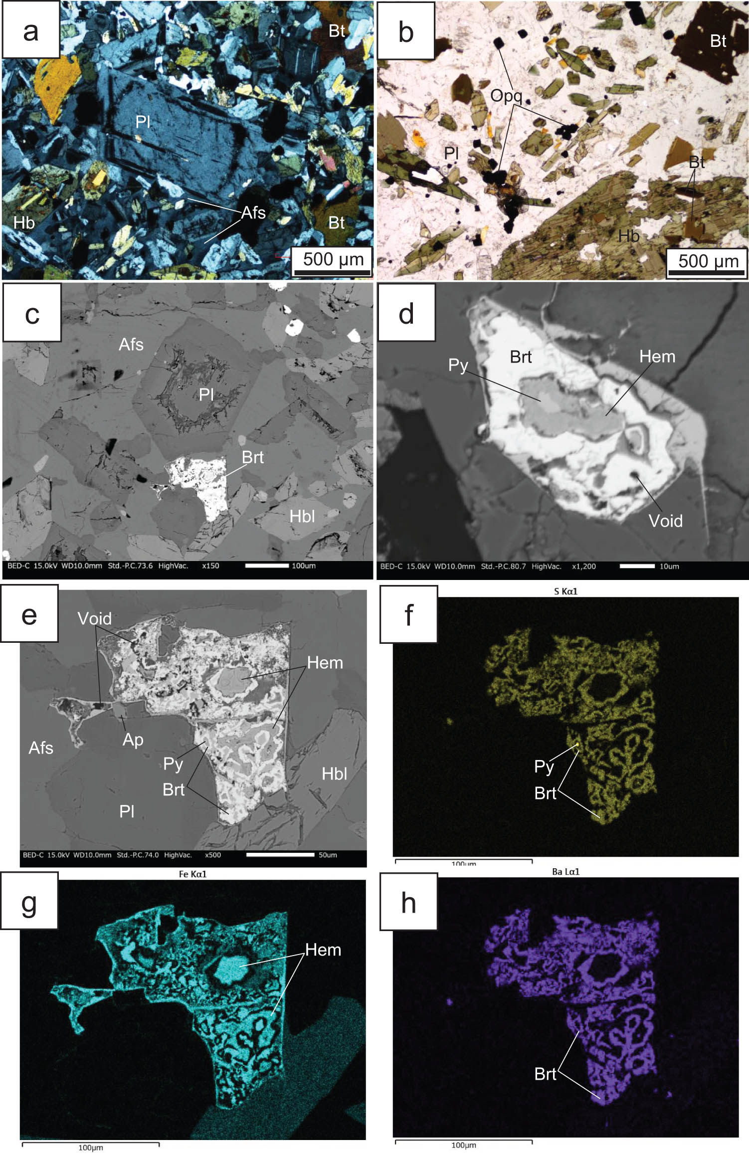 Figure 5 
                  Representative textures of the MME (sample No. 102812b). (a) A 1 mm-size euhedral plagioclase in the fine-grained matrix (cross-polarized light). Alkali feldspar occurs as an interstitial phase. (b) Large euhedral hornblende (lower right) and biotite (upper right) occur in the fine-grained matrix (plane-polarized light). Many small biotite crystals are contained in the large hornblende. (c) Backscatter electron image of poikilitic texture in the MME. Euhedral plagioclase and hornblende are in contact with the barite-bearing domain. (d) Barite occurs with hematite, voids, and a small amount of pyrite. (e) Backscatter electron image and corresponding elemental maps of (f) S, (g) Fe, and (h) Ba of the barite-bearing domain in Figure 5c. Py: pyrite, Brt: barite, Hem: hematite.
               