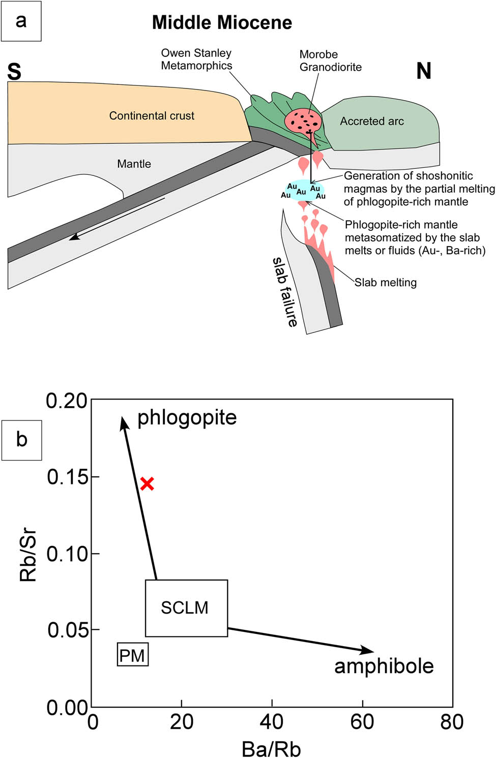 Figure 14 
                  (a) Cross-sectional tectonic model showing the formation mechanism of Morobe Granodiorite and MME in the Middle Miocene. The direction of subducting plate motion and distribution of metamorphic rocks during this period are derived from Hill and Hall [20]. (b) Rb/Sr versus Ba/Rb diagram [64] shows the presence of phlogopite in the mantle for the MME in the Morobe Granodiorite. SCLM: subcontinental lithospheric mantle, PM: primitive mantle [74].
               