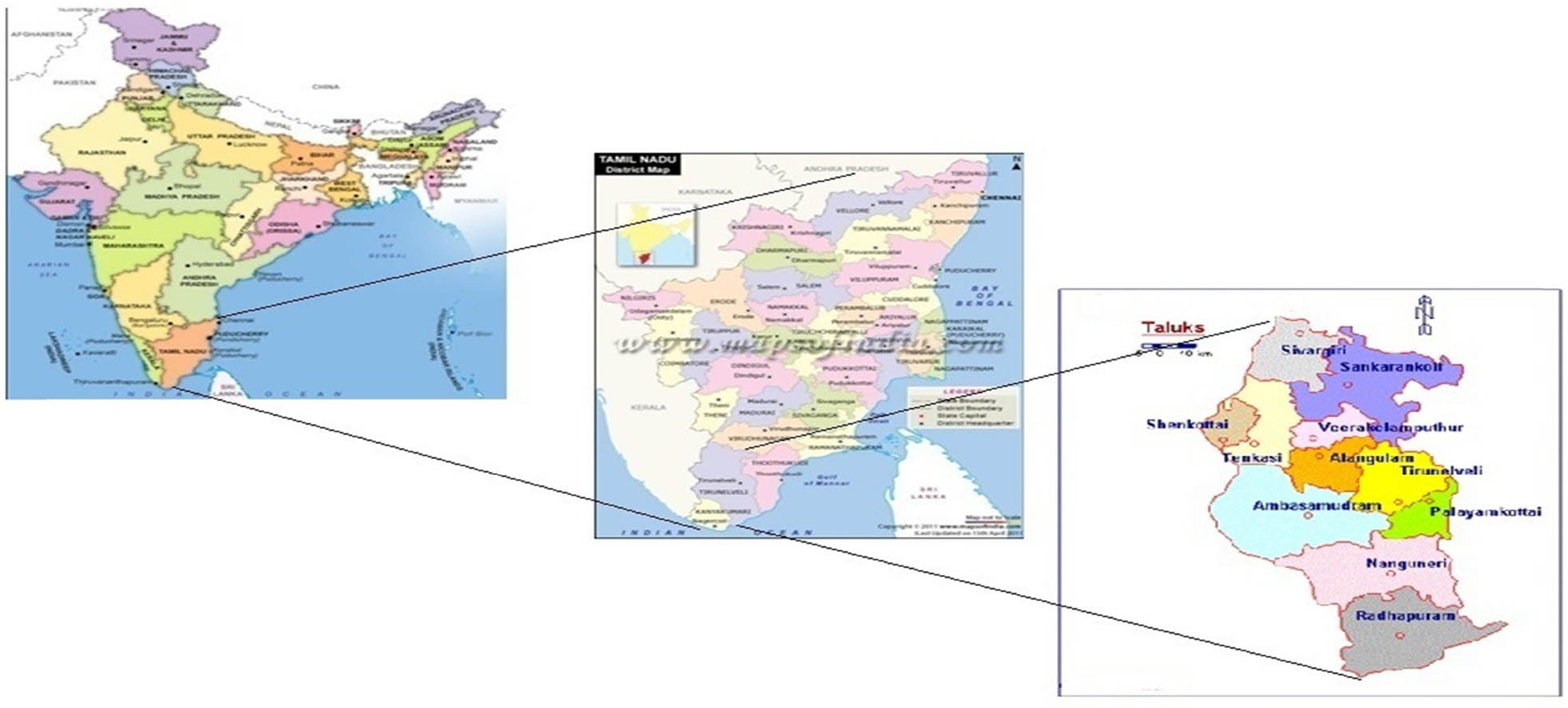 Figure 1 
               Study area.
            