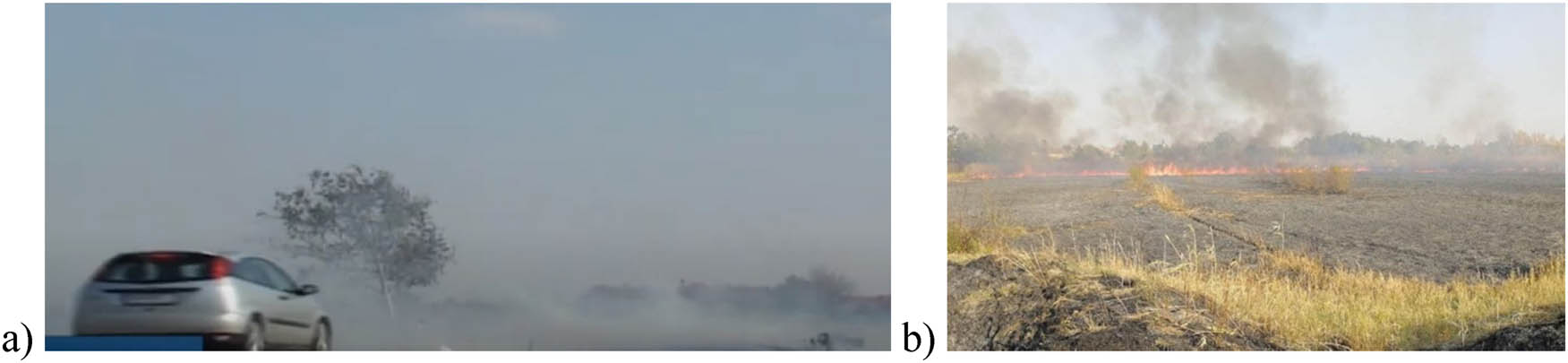 Figure 11
Cases of burning plant residues after harvesting: (a) near the road in Novi Sad and (b) in the Special Nature Reserve Carska Bara. Source: Petra Živić (17.10.2018).
