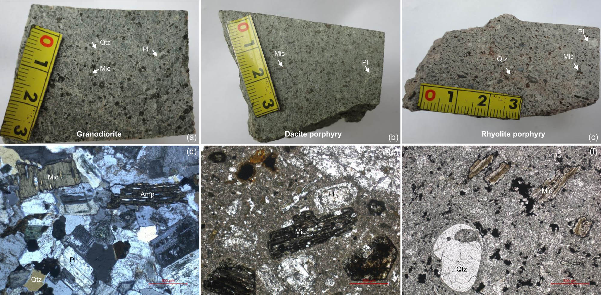 Figure 2 
               The hand specimens (a–c) and petrographic features (d–f) for both plutonic and subvolcanic rocks. Abbreviations: Mic, mica; Qtz, quartz; Amp, amphibole; Pl, plagioclase.
            