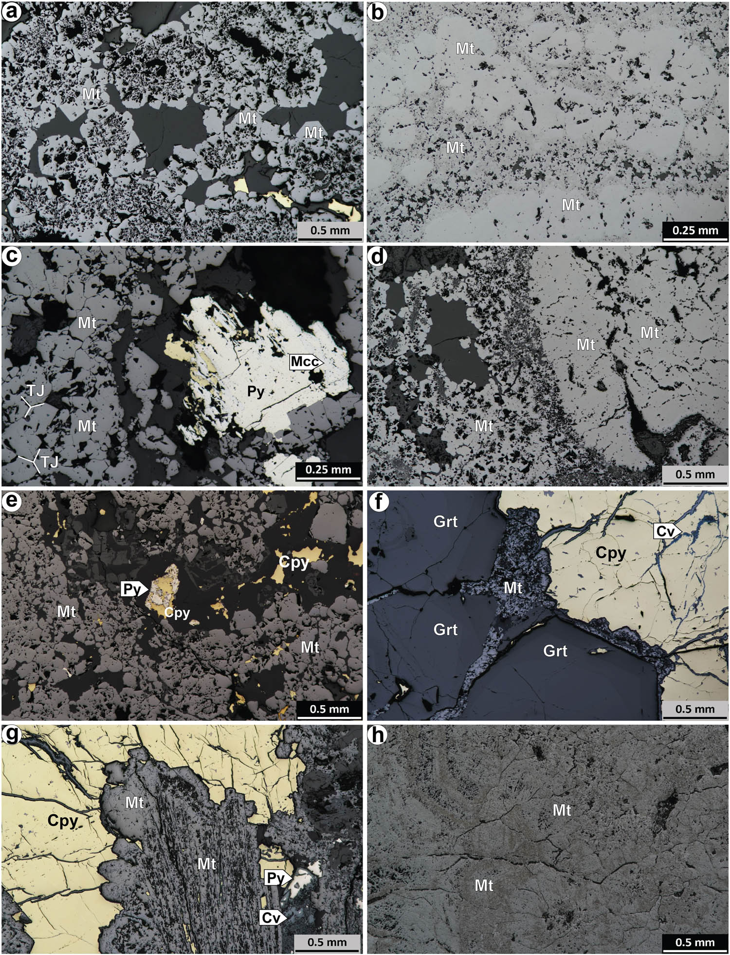 Figure 2 
                     (a)–(d) Subhedral to euhedral grains of Khao Lek magnetite: (a), (c), and (d) Type-I massive magnetite (euhedral) and (b) and (d) Type-II anhedral massive magnetite. (c) Subhedral magnetite grains occur with anhedral pyrite and some marcasite and chalcopyrite. (e)–(h) The KTK magnetite was divided into two types: (1) massive Type-I, where (e) euhedral massive magnetite occurs after euhedral garnet, and (f) it is intergrown with chalcopyrite replaced by covellite along cracks (magnetite laths are also found in Type-I magnetite, (g); and Type-II, (h) where the KTK magnetite is completely replaced by garnet grains. Mt: magnetite, Py: pyrite, Mcc: marcasite, Cpy: chalcopyrite, Cv: covellite, TJ: triple junction (120°).
                  