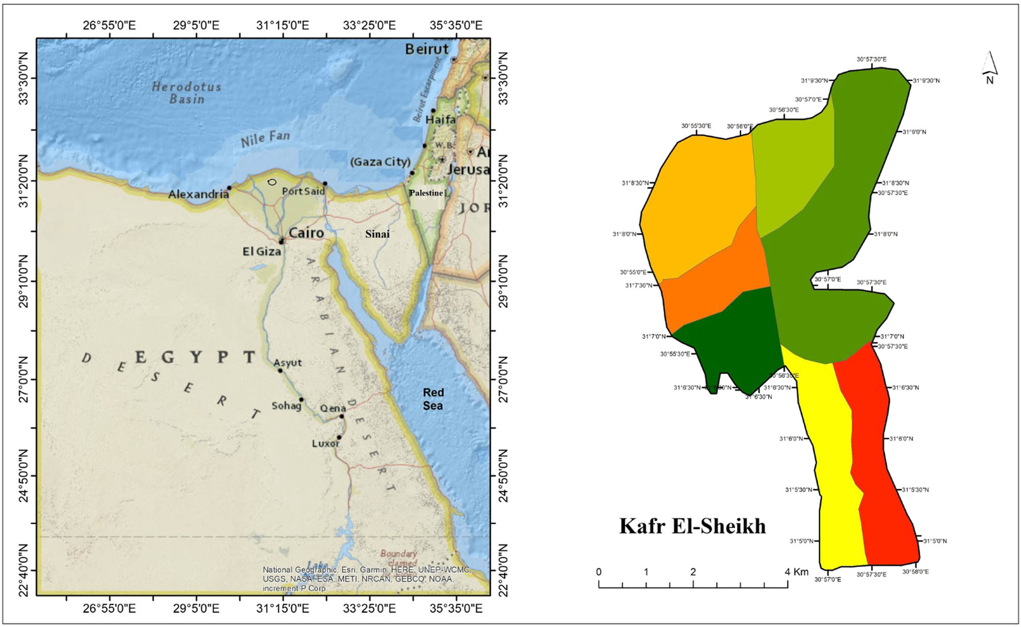 Figure 1 
               Study area (Kafr El-Sheikh city, Egypt) from Google Earth 2022.
            