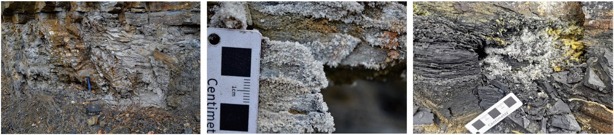 Figure 9
Salt frost and natural sulfur are precipitated on the surface of the detachment layer of SGN.