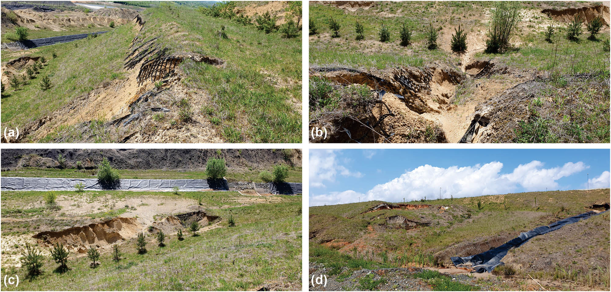 Figure 16
(a)–(d) Visible forms of erosion and measures to control them in the exploitation area of the municipality of Stanari.
