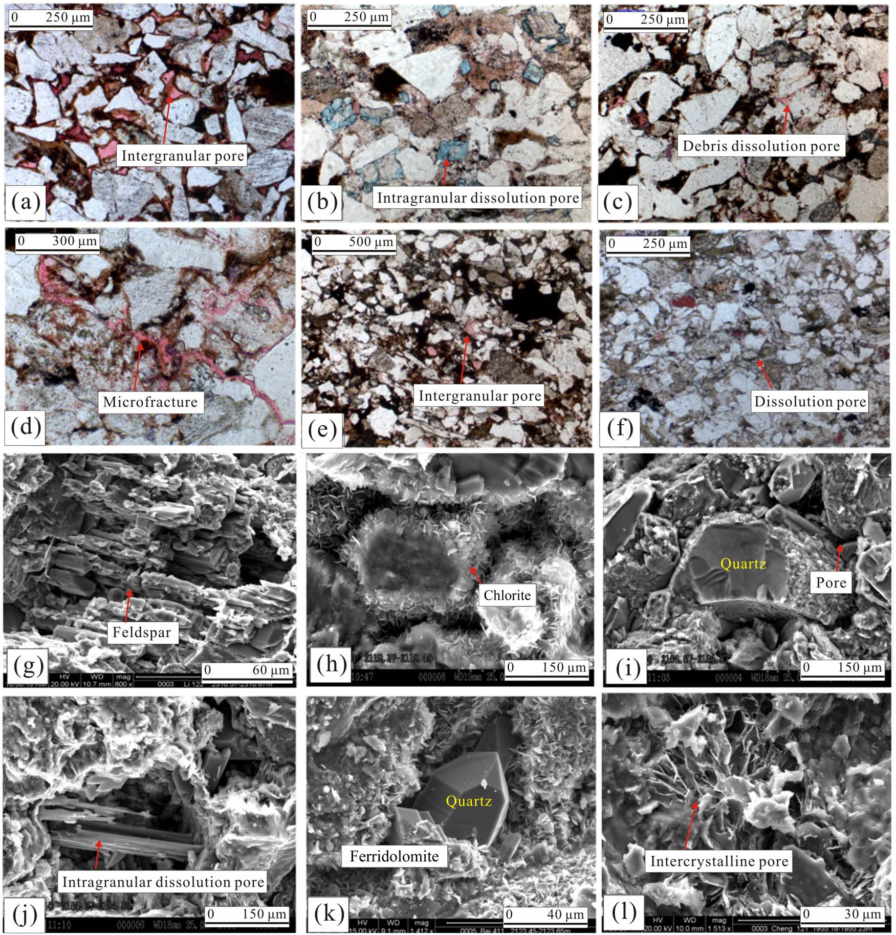 Figure 5 
                  Cast thin section and SEM images of Chang 63 sub-member in the study area. Notes: (a) well S126, 1,807 m, intergranular pore, sandy debris flow sand body; (b) field profile, Xunyi area, intra- and intergranular dissolution pores, sandy debris flow sand body; (c) well B127, 1836.94 m, intergranular pore and debris dissolution pore, sandy debris flow sand body; (d) well N68, 1776.5 m, microfracture and intergranular pore, sandy debris flow sand body; (e) well L47, 1897.7 m, intergranular pore, turbidity sand body; (f) field profile, Xunyi area. Dense structure with visible small amounts of dissolved pores, turbidity sand body; (g) well L122, 2310.57 m, feldspar dissolution pore; (h) well B120, 2119.17 m, intergranular pores filled with Chlorite; (i) well B140, 2184.67 m, intercrystalline pore (quartz); (j) well B140, 2184.87 m, Intragranular dissolution pore; (k) well B411, 2123.45 m, intercrystalline pore (quartz and ferridolomite); and (l) well C211, 1955.18 m, intercrystalline pore (illite alteration).
               