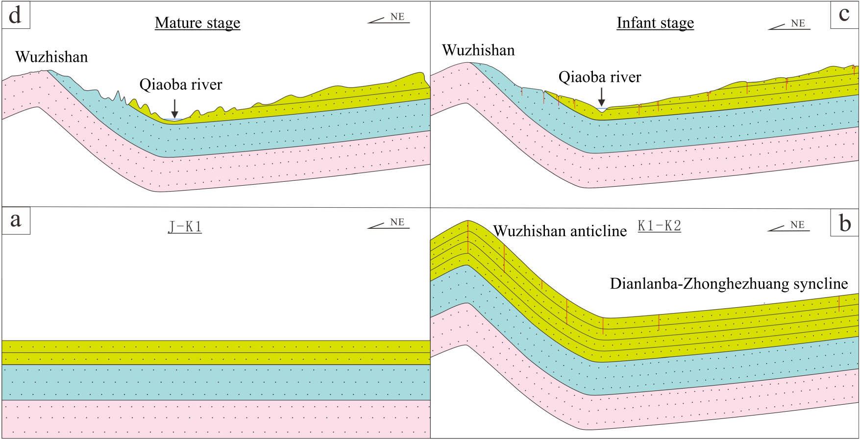 Figure 14
Evolution patterns for the formation process of Danxia landforms. (a) initial stage, (b) developmental stage, (c) Infant stage, and (d) Mature stage.