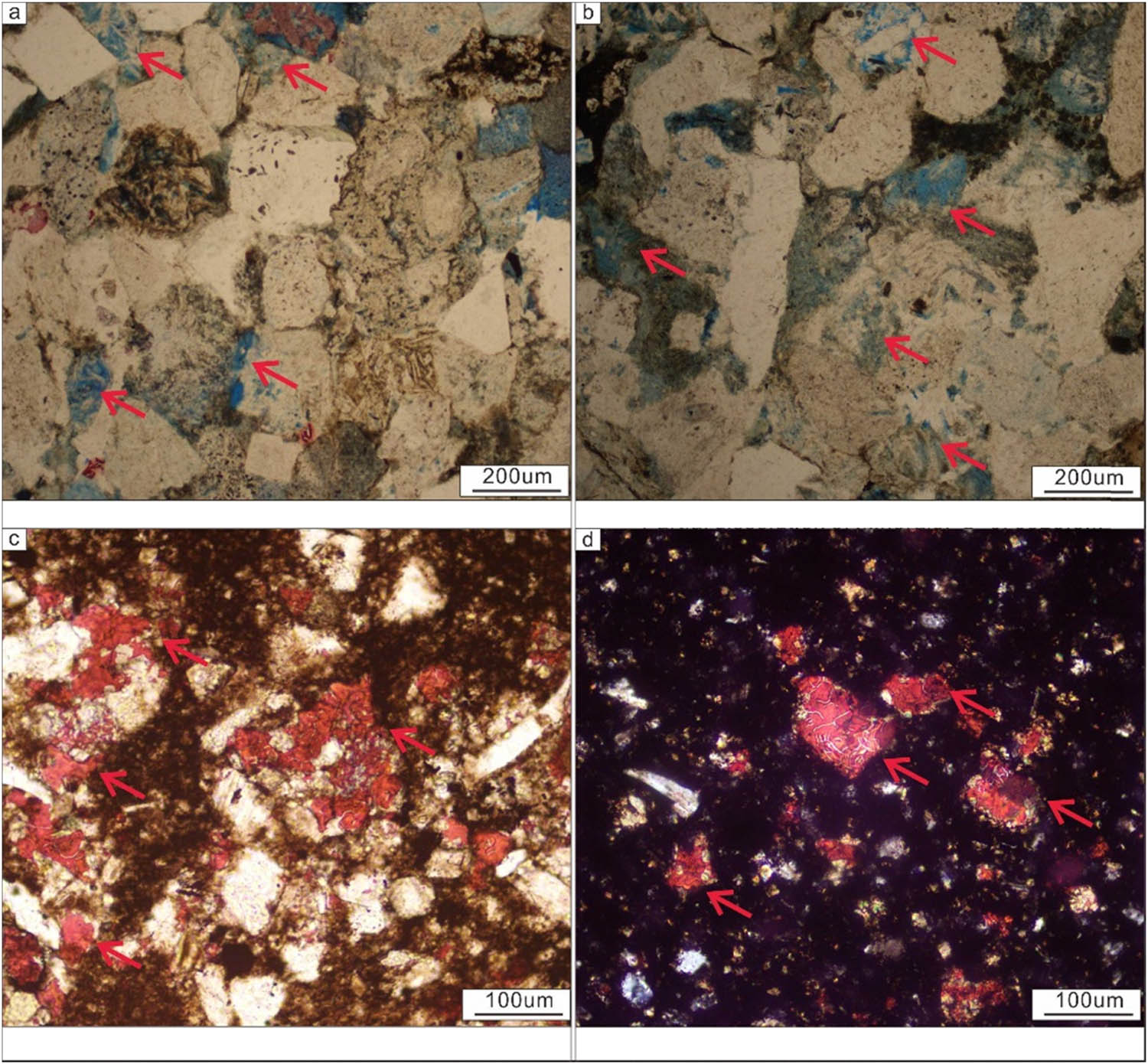 Figure 11 
               Dissolution and metasomatism of minerals. (a) Particle dissolution of minerals, C-6, 6528.3 m, (b) particle dissolution of minerals, C-6, 6528.3 m, (c) metasomatism of minerals, C-6, 6900.2 m, and (d) metasomatism of minerals, C-6, 6900.5 m.
            