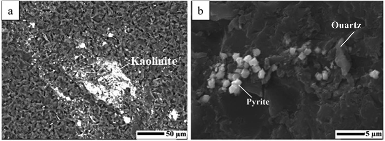 Figure 5 
                  Selected SEM microphotographs (backscattered images) of crystalline phases in the studied coal samples: (a) D1 sample, individual kaolinite crystal; and (b) D2 sample, detailed view of a framboidal pyrite.
               