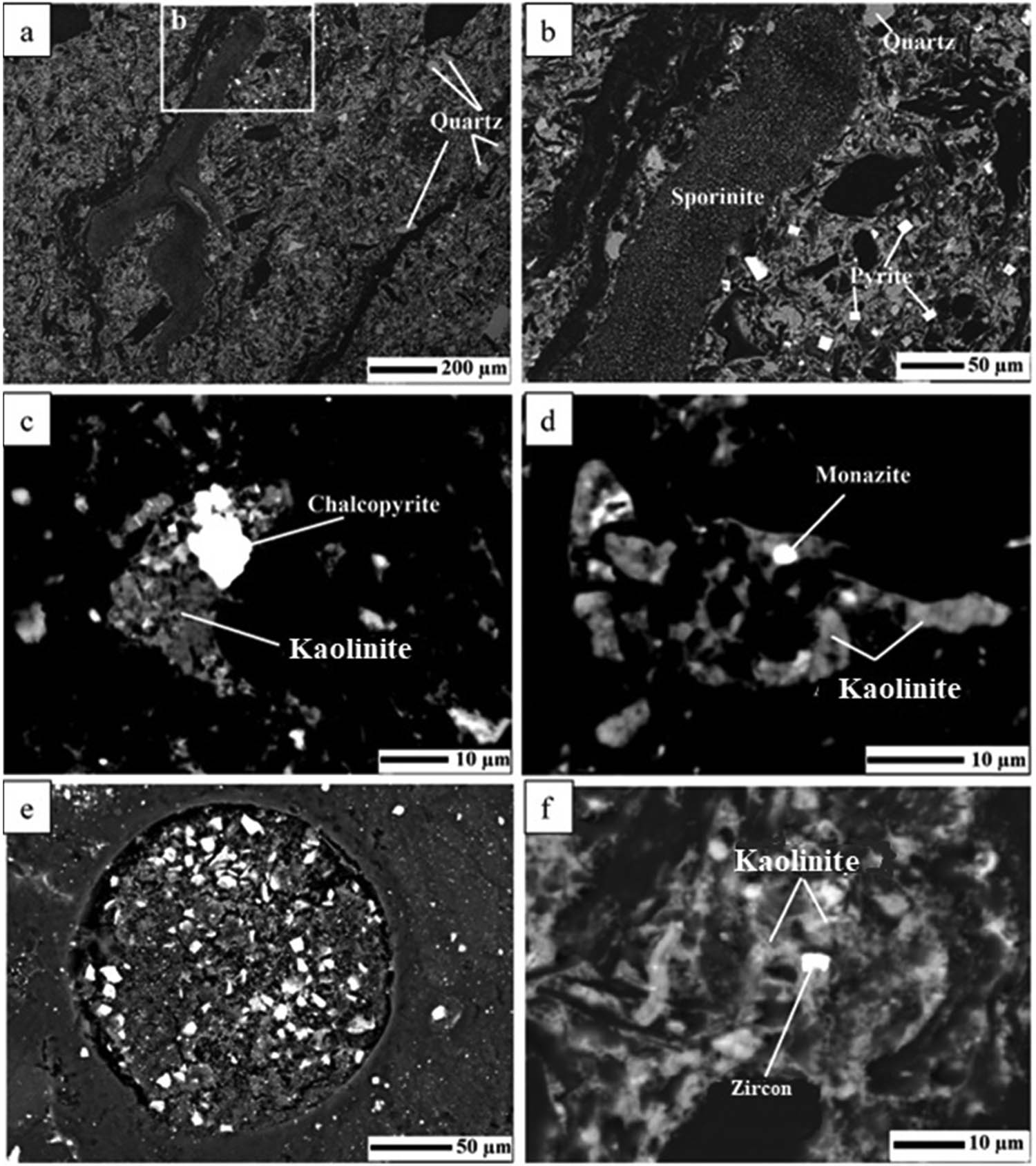 Figure 6 
                  Selected SEM microphotographs (backscattered images) of crystalline phases in coal samples S1 (a–d) and S2 (e–f): (a) and (b) crystal growth of quartz and pyrite surrounding sporinite fragment; (c) chalcopyrite crystals associated with kaolinite matrix; (d) monazite minerals associated with kaolinite matrix; (e) euhedral pyrite crystals associated with coal pores; and (f) zircon crystal associated with kaolinite matrix.
               