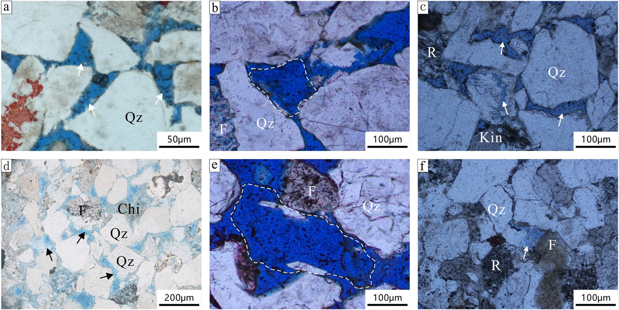 Figure 4 
                  Microscopic characteristics of reservoir pores in the Shaximiao Formation in the western Sichuan Basin: (a) primary pores (indicated by white arrows), JT1 well, 1808.5 m, feldspathic sandstone (−); (b) mold pores (encircled by white dashed lines), QL18 well, 2082.346 m, feldspathic lithic sandstone (−); (c) intragranular dissolution pores and primary intergranular pores (indicated by white arrows), YQ2 well, 2258.04 m, lithic feldspathic sandstone (−); (d) intergranular dissolution pores (indicated by white arrows), D26 well, 1248.33 m, feldspathic sandstone (−); (e) dissolution pores (indicated by black arrows) and primary pores (indicated by white arrows), QL8 well, 1954.60 m, feldspathic lithic sandstone (−); and (f) secondary dissolution pores (indicated by white arrows), YQ2 well, 2,233 m, feldspathic sandstone (−); Qz = quartz, R = lithics, F = feldspar, Chi = chlorite, Mu = mica, Bit = biotite. (Thin section instrument: Nikon LV100POL polarizing microscope, manufactured in Japan (Nikon), production date: 2010).
               