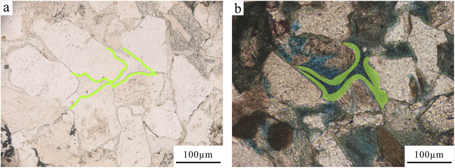Figure 11 
                  Microscopic characteristics of chlorite envelope: (a) chlorite envelope 8.6–10.5 μm, MQ9 wells, 1709.76 m (−) and (b) chlorite envelope 14.7–20.4 μm, PL9 wells, 1991.21 m.
               