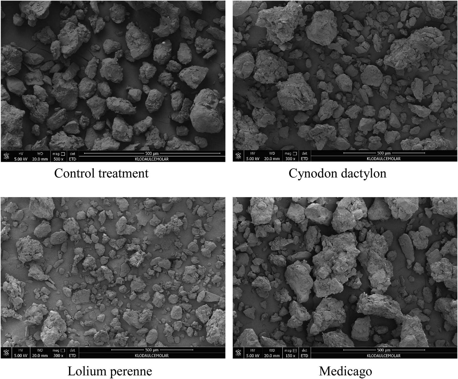 Figure 10 
                  Soil microstructure under the influence of different herbaceous plants.
               